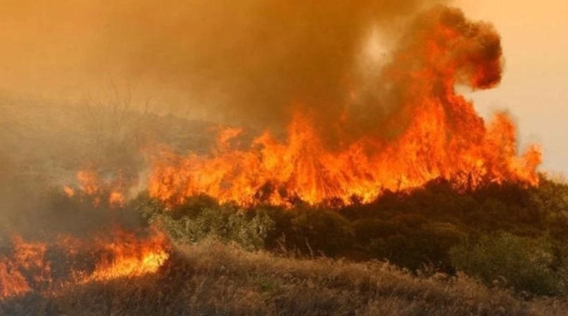 Κρήτη: Μάχη με τις φλόγες για τους πυροσβέστες σε πολλαπλά πύρινα μέτωπα -Κινδύνευσαν και σπίτια